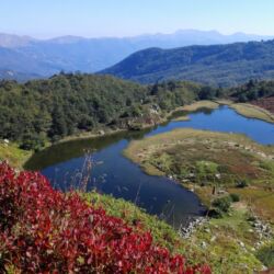 Associazione Ecomuseo della Montagna Pistoiese